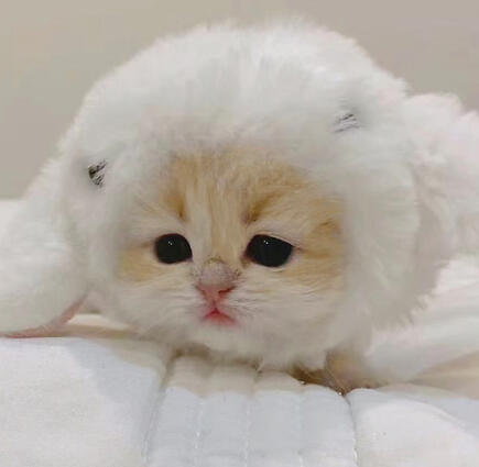 this is me ( real)